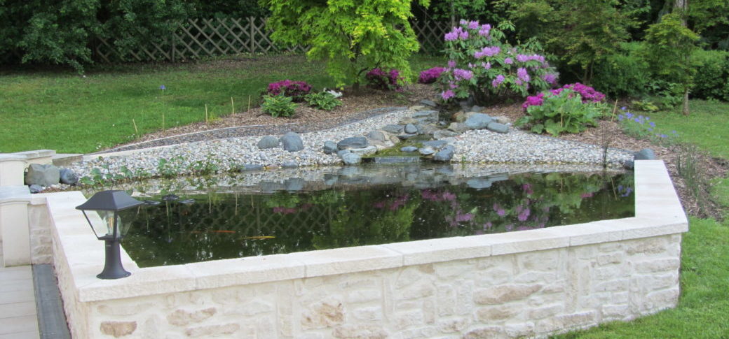 Construire un Bassin de Jardin ou Étang de Jardin - Filtres Bassin